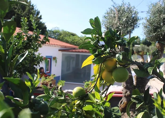 Casa Manuel E Maria