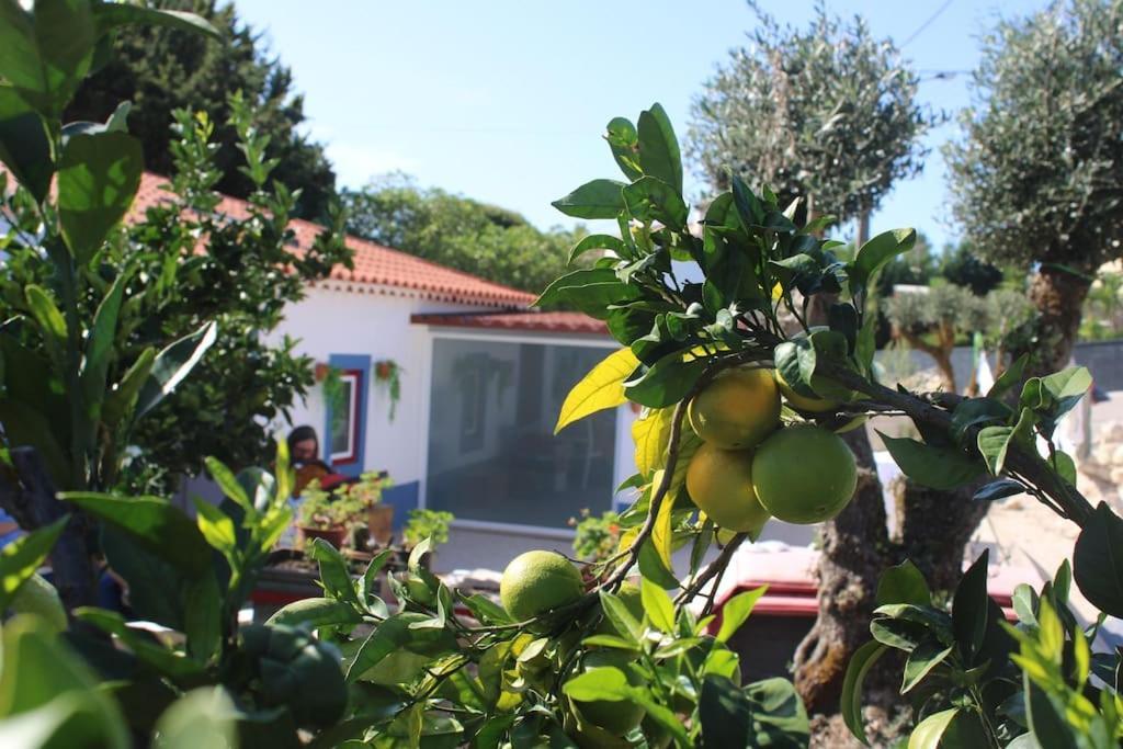 Casa Manuel E Maria * Fatima